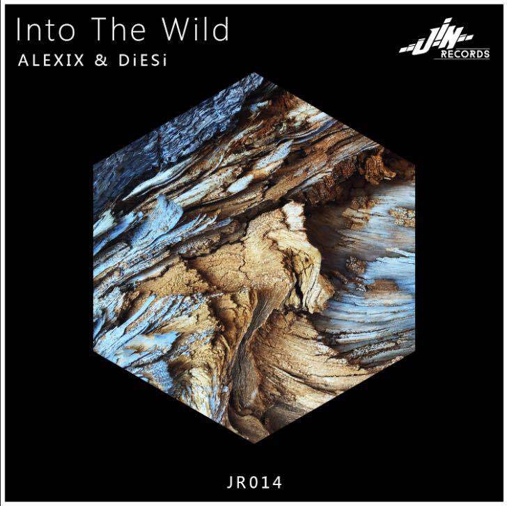 Into The Wild (ALEXIX 2017 Rework)专辑