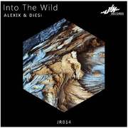 Into The Wild (ALEXIX 2017 Rework)