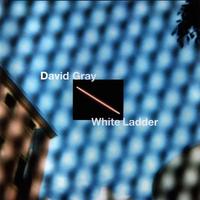 David Gray-Please Forgive Me