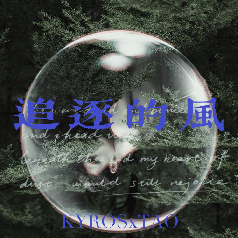 追逐的风