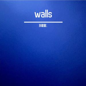 刘雨昕 - Walls (精消带伴唱)伴奏