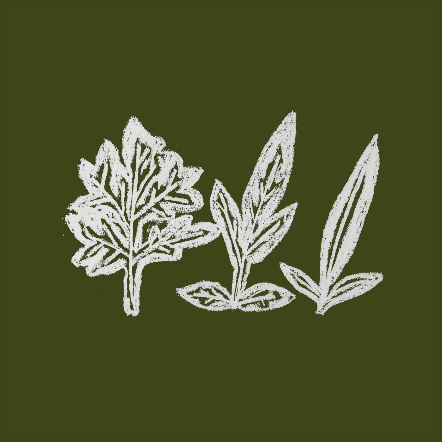 Variation of Weeds
