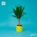 Botany EP专辑
