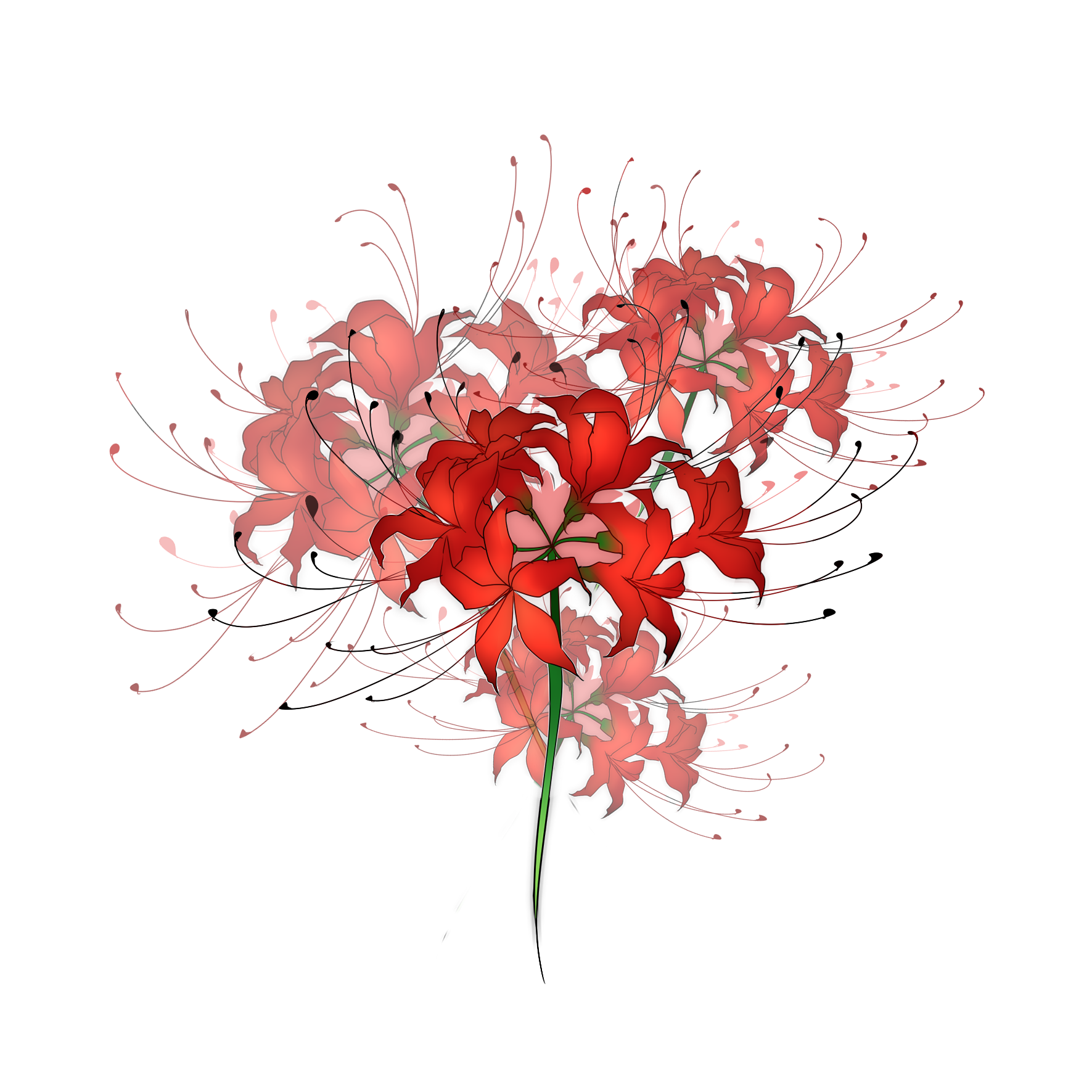 桃源误（with纱朵）原创古风