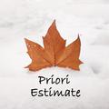 Priori Estimate