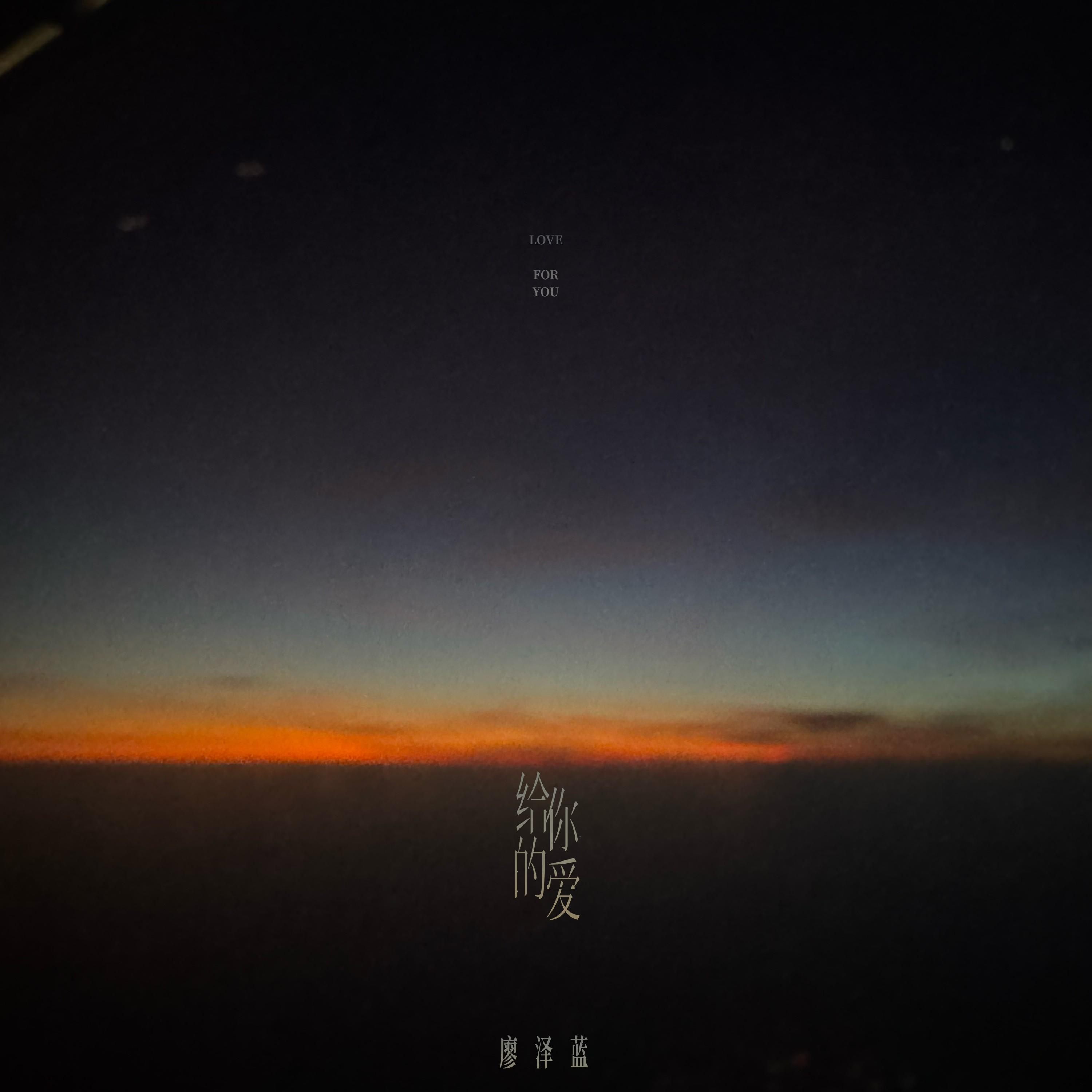 给你的爱