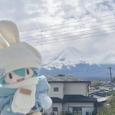 Calm stars 星