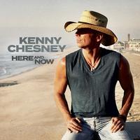 Kenny Chesney - Happy Does (PT karaoke) 带和声伴奏