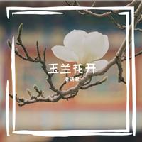 潘倩倩-花招(DJ伟然版)