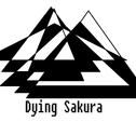 Dying Sakura专辑