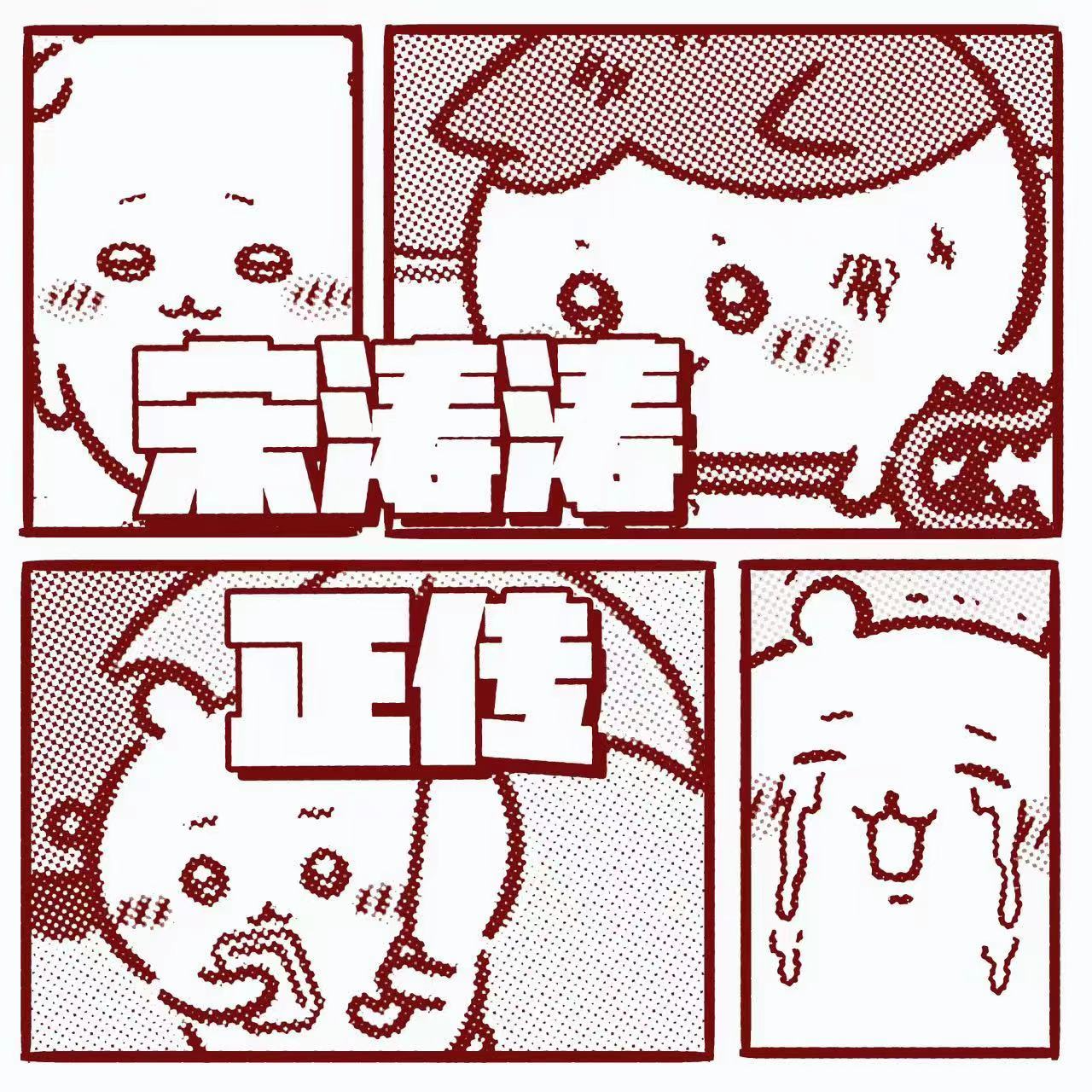 宋涛涛正传