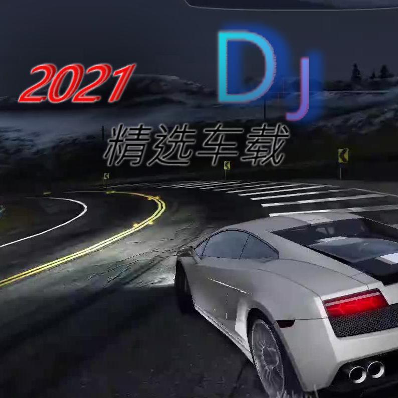 2021Rhythm Of The Night车载DJ