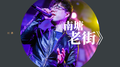 《南塘老街》专辑