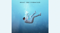 What You Promised专辑