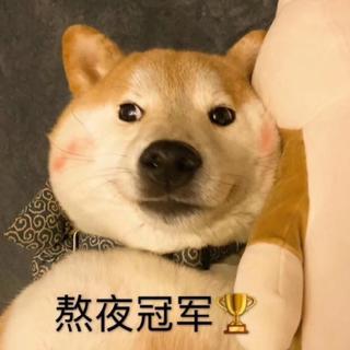 不是我爱熬夜，而是黑夜需要我这颗璀璨的星