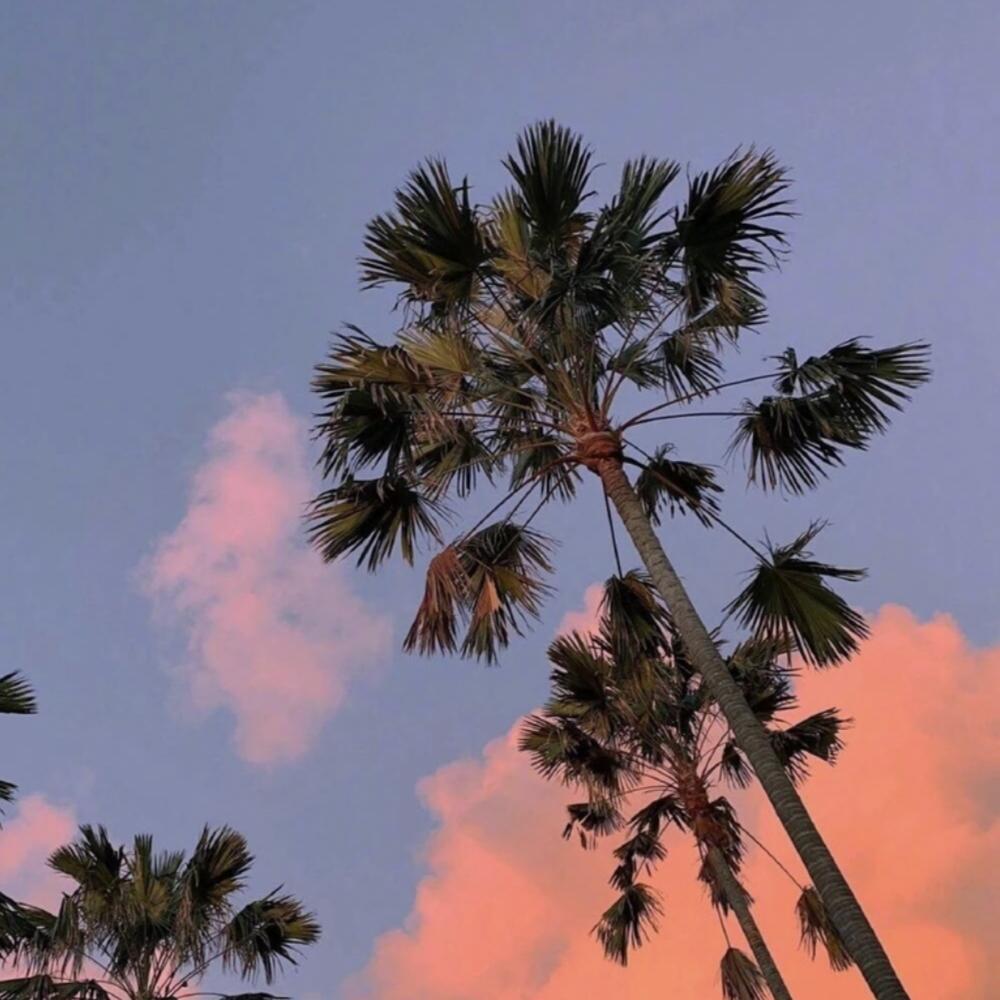 爱你真的没办法（DJ版）