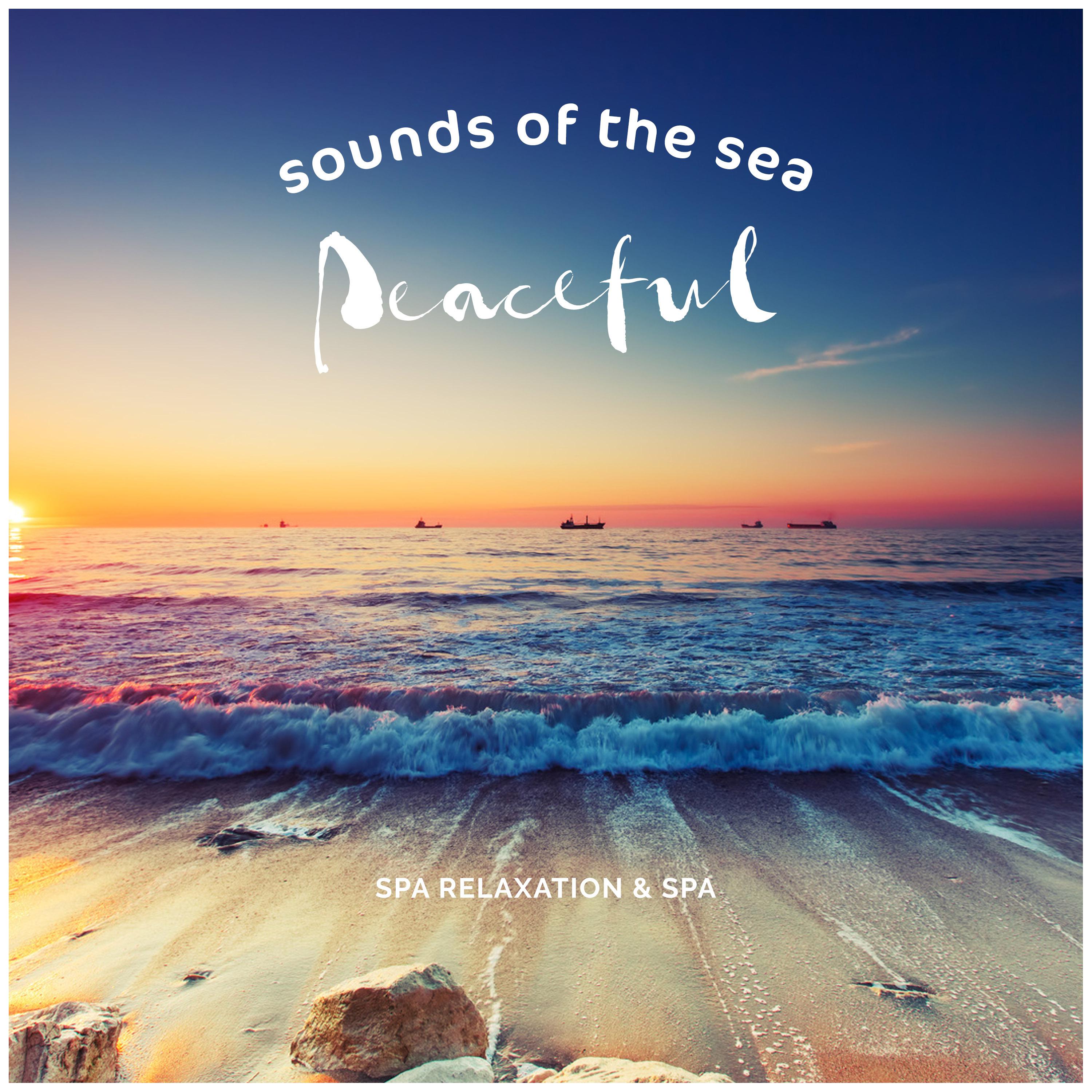 The Ocean Waves Sounds - Tranquility