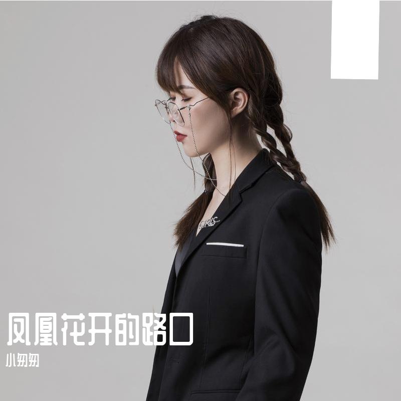 凤凰花开的路口