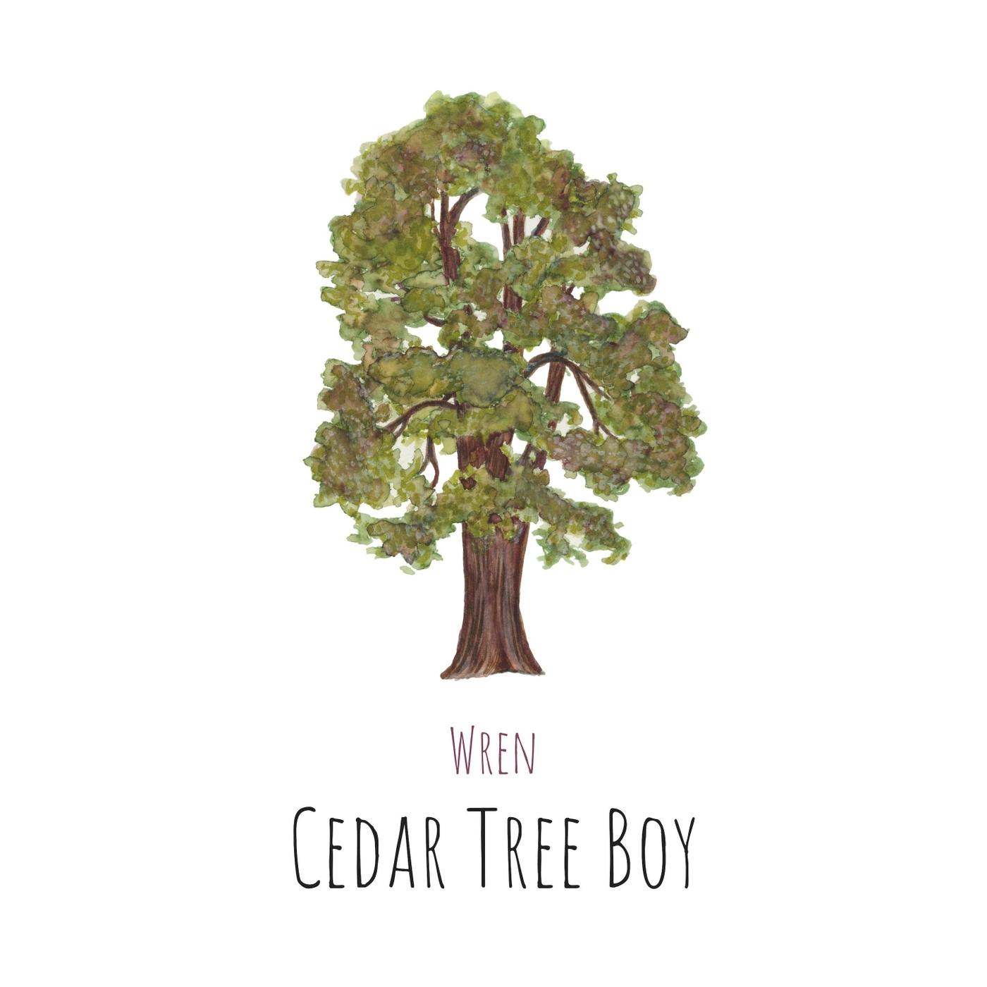 Cedar Tree Boy (feat. Krista Detor)