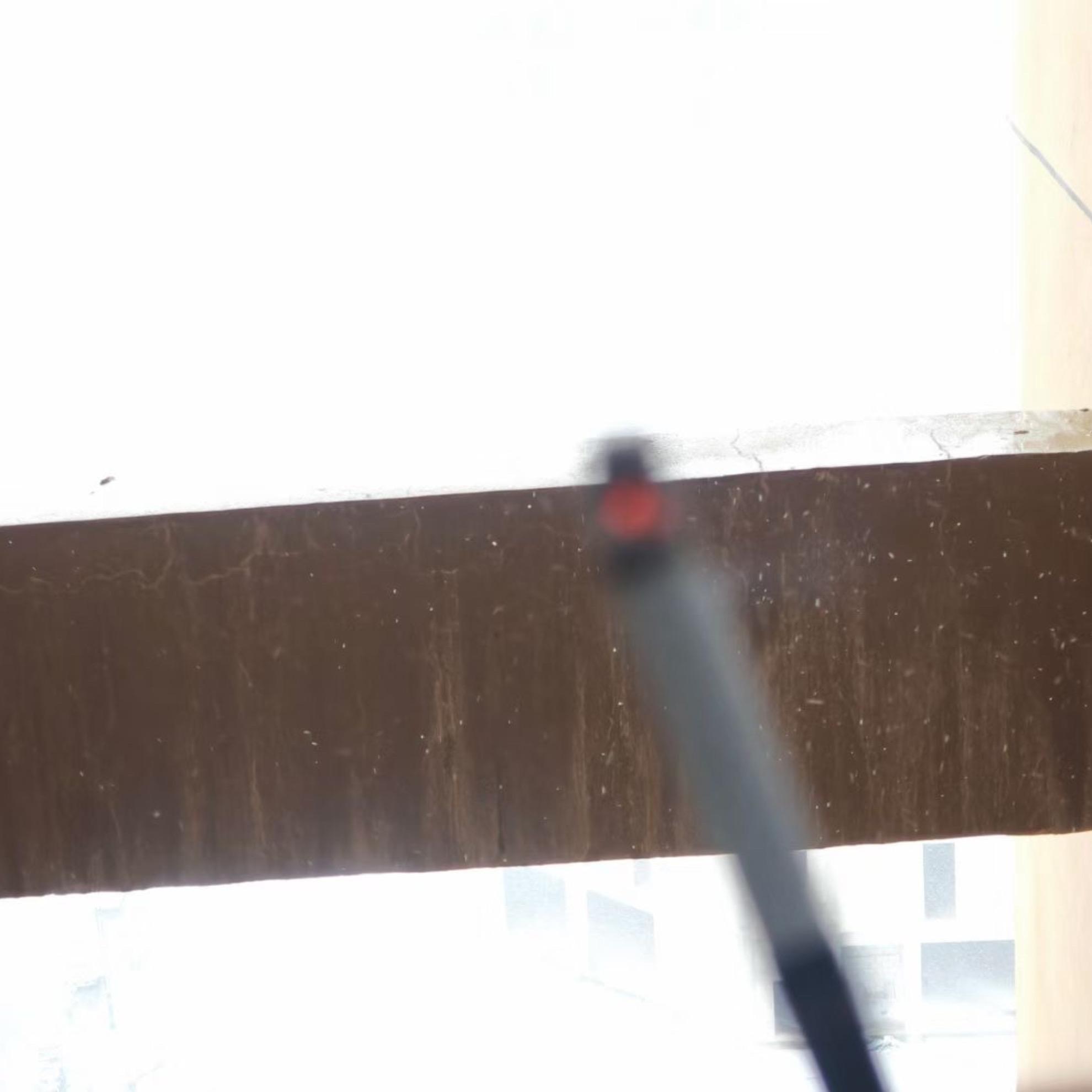 谢谢你