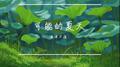 可能的夏天专辑