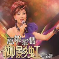 柳影虹 蔡淇俊 - 现代爱情故事(原版Live伴奏)