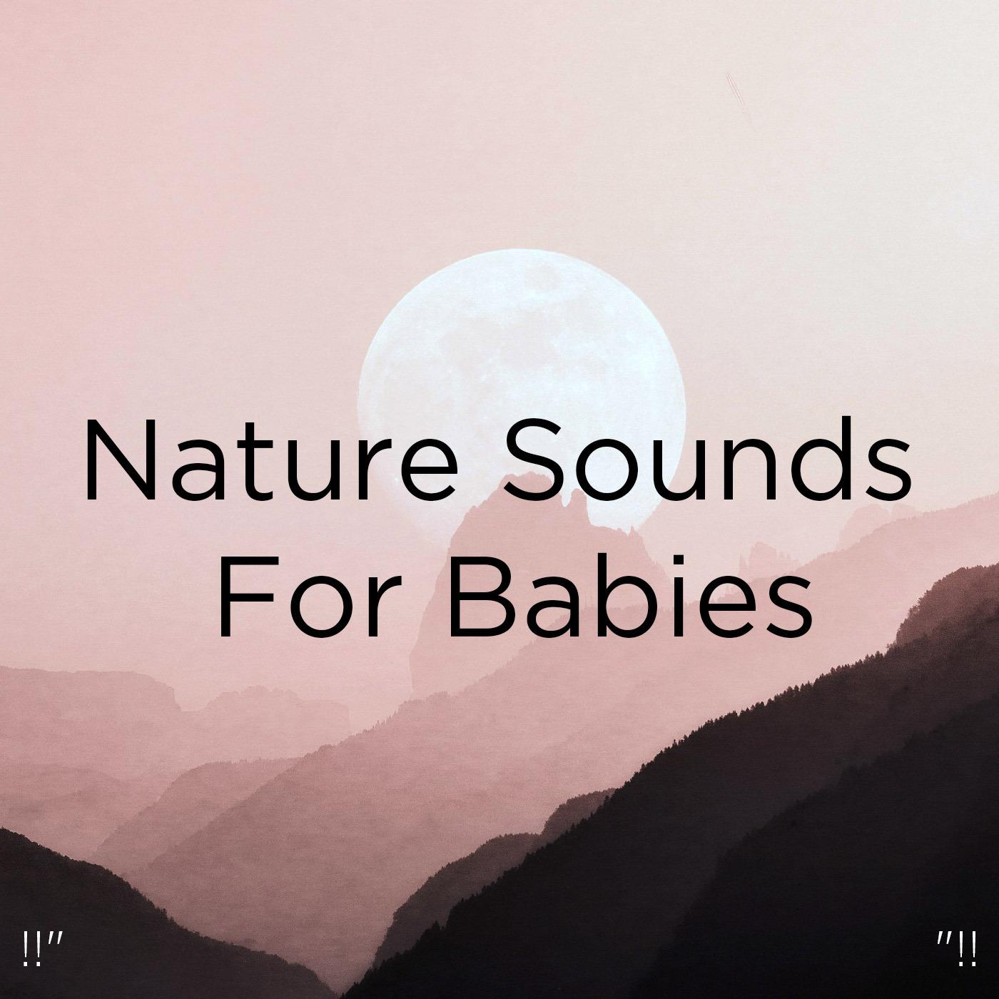!!" Nature Sounds For Babies "!!