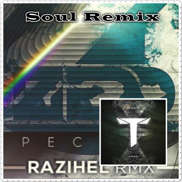 Spectrum vs Animal (Soul Mashup)