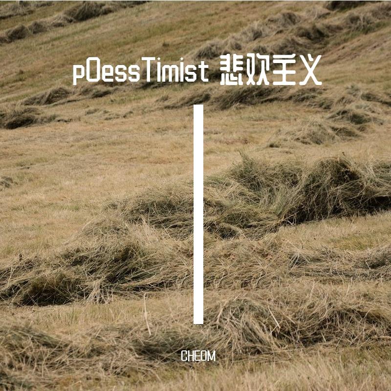 pOessTimist 悲欢主义