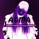 Dye My Hair (Branchez Remix)专辑