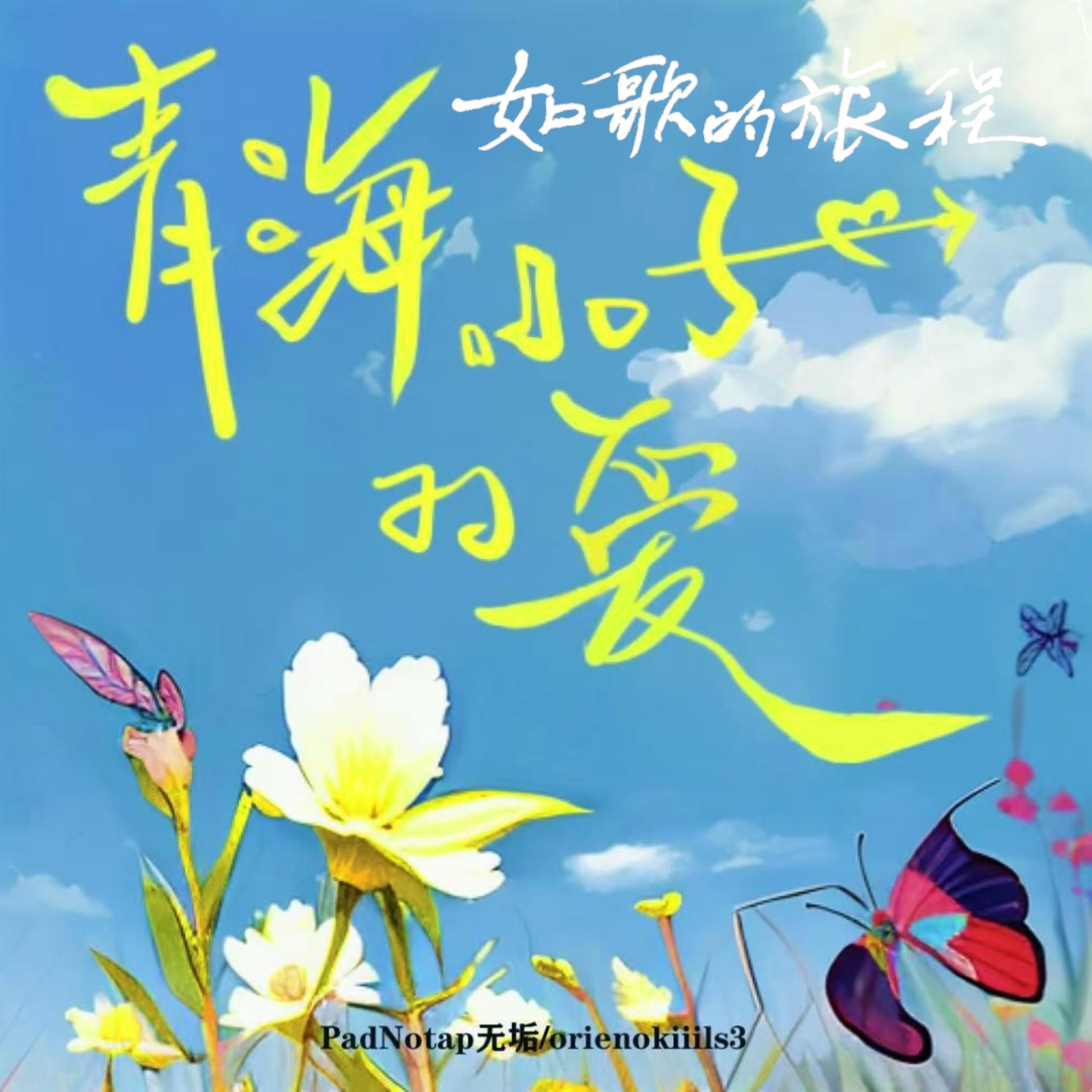 青海小子的爱