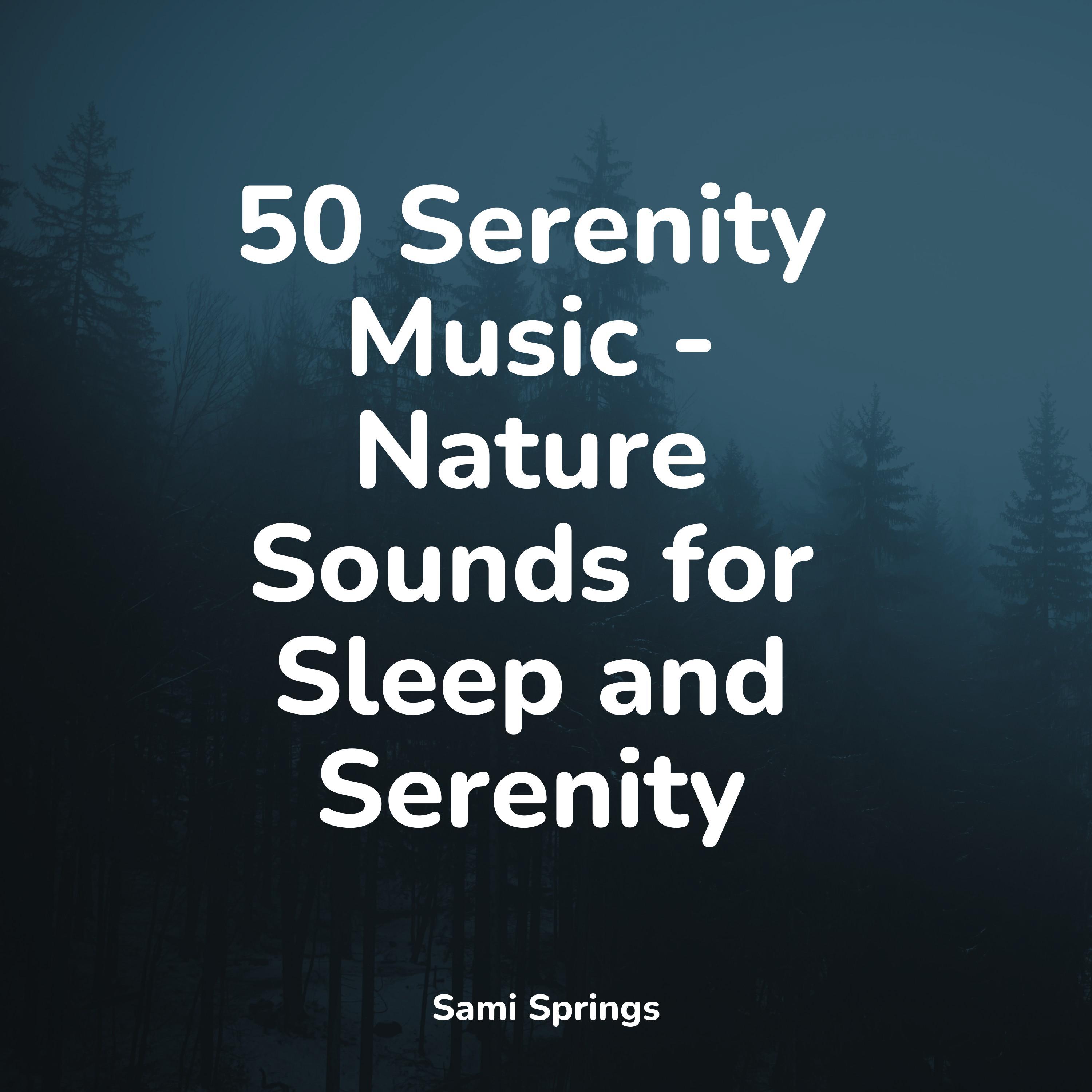 50 Serenity Music - Nature Sounds for Sleep and Serenity