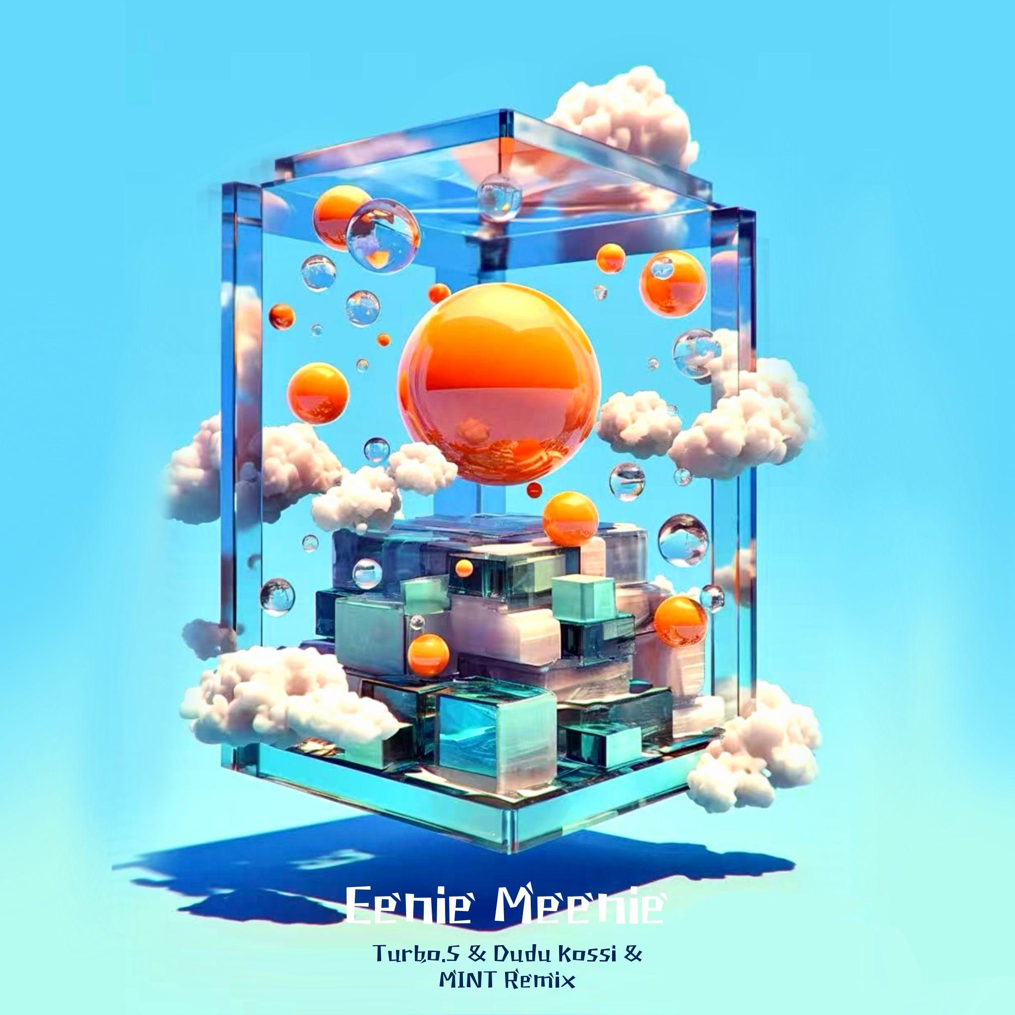 Eenie Meenie(Turbo.S & Dudu Kossi & MINT Remix)