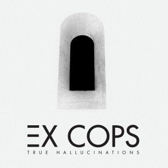 True Hallucinations