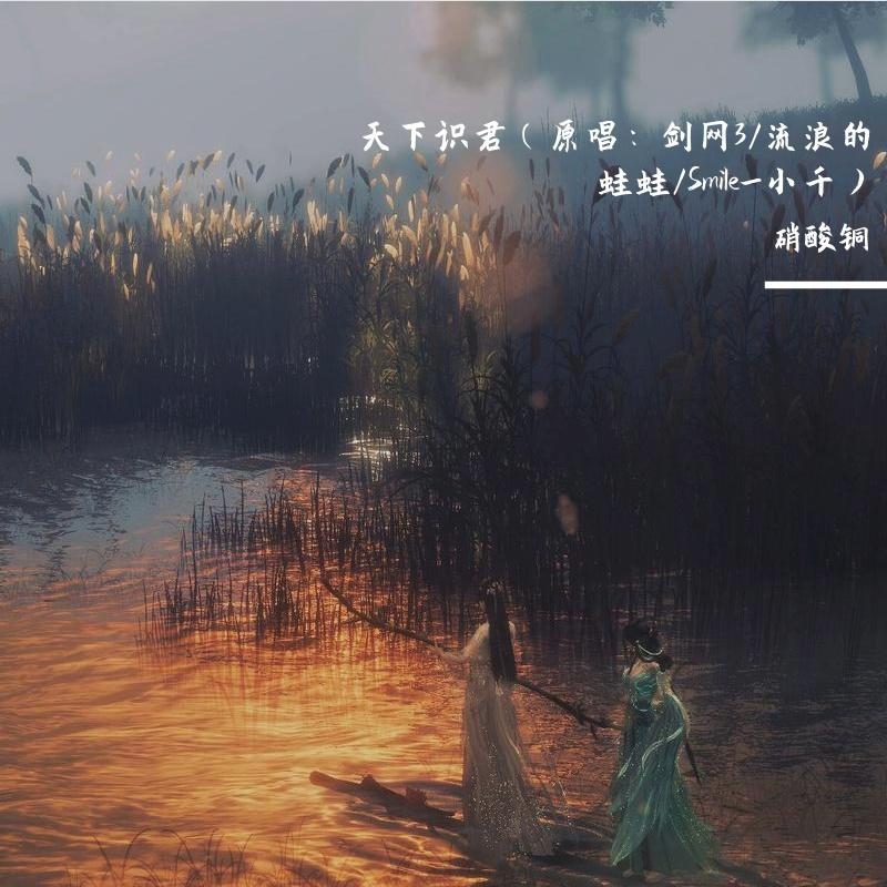 天下识君（原唱：剑网3/流浪的蛙蛙/Smile_小千）