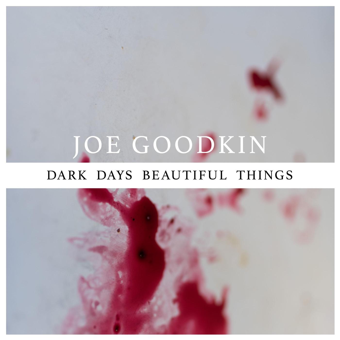 Dark Days Beautiful Things