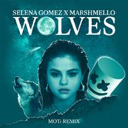 Wolves (MOTi Remix)