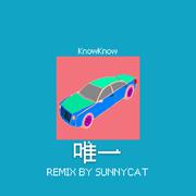 KnowKnow-唯一remix（Sunny Cat remix）