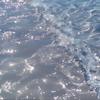 海海海专辑