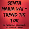 DJ Aranha - Senta Maria Vai Trend Tik Tok