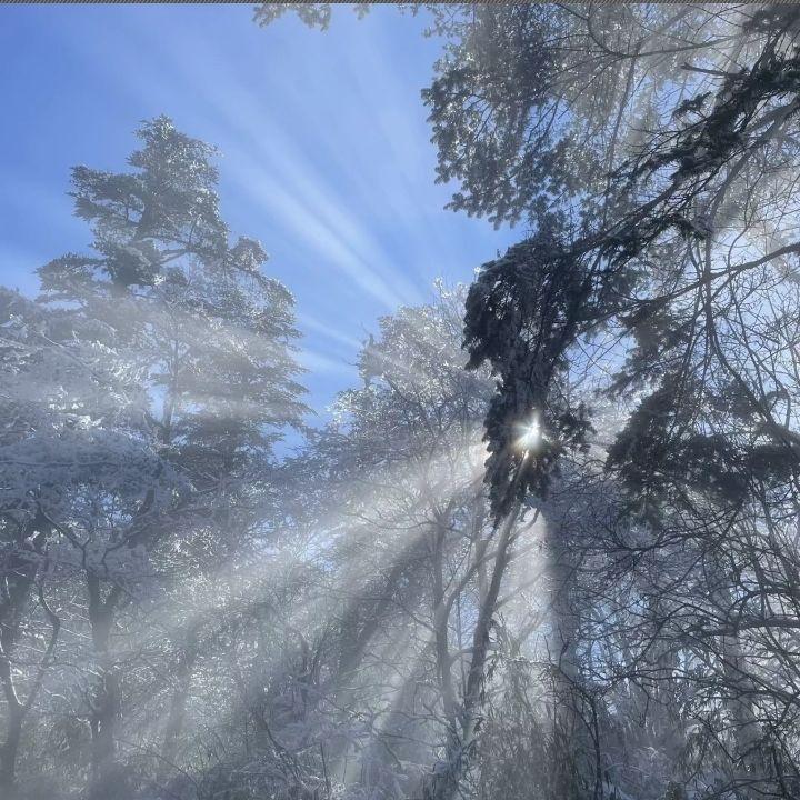 春枝秋雨