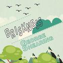 Briskness专辑