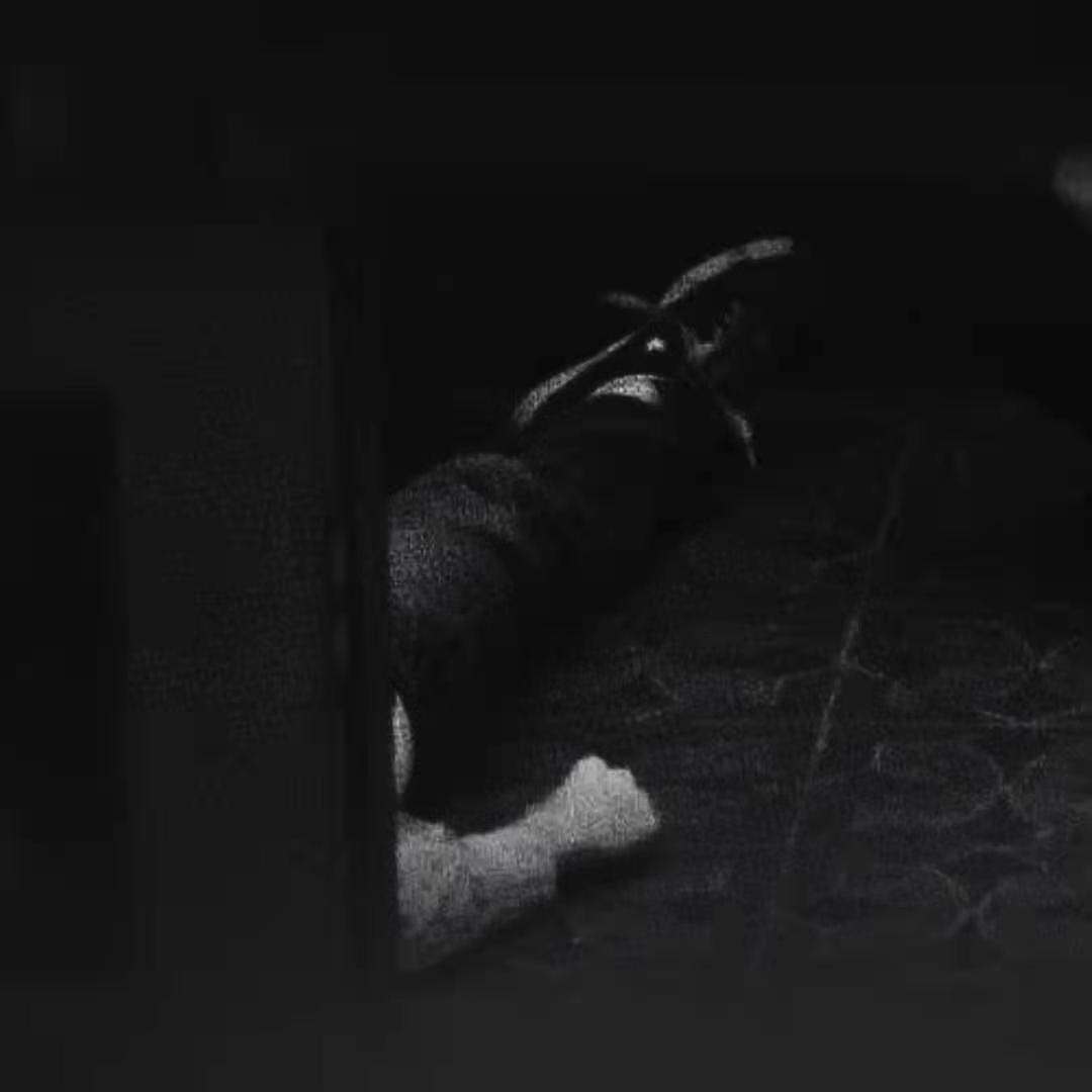 Lounge Act(Nirvana cover)