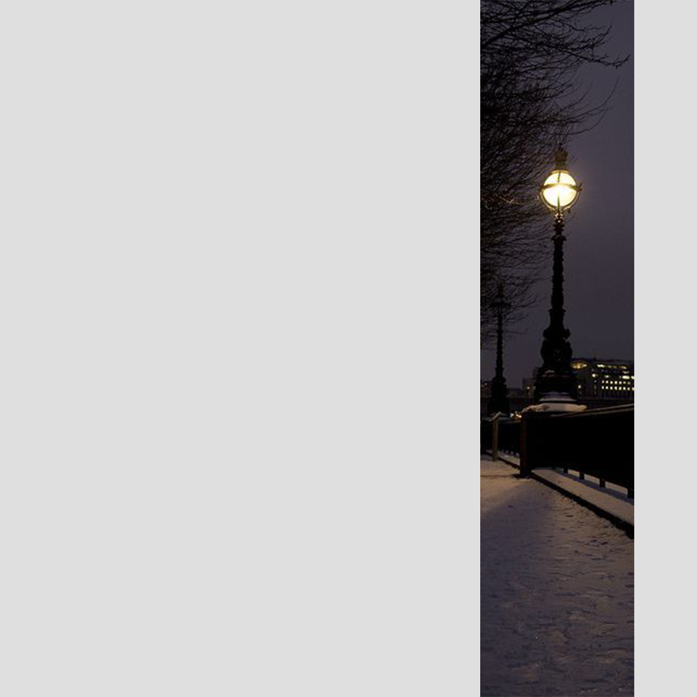 The Night We Share
