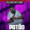 O Patão - Pássaro Noturno