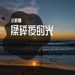 揉碎夜的光