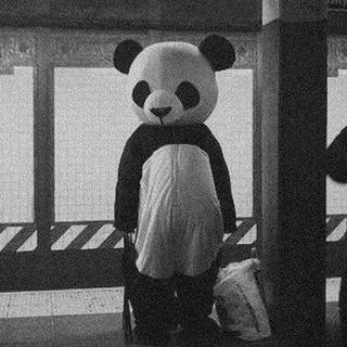 双鱼座的单曲循环