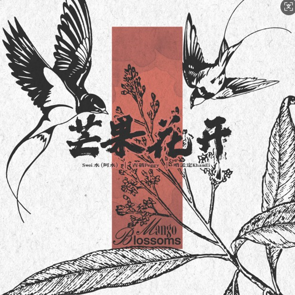 芒果花开
