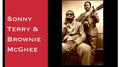 Everybody's Blues (Sonny Terry & Brownie McGhee Vol. 2)专辑
