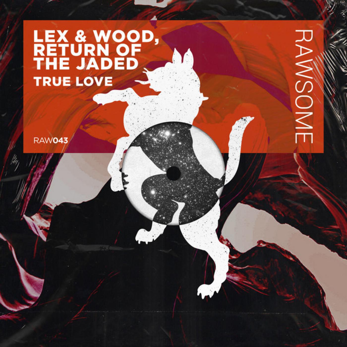 Lex & Wood - Hypnotic Robotic